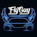 Fly Guy Wraps