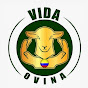 VIDA OVINA