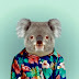 AcemiKoala