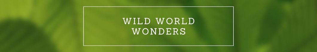 Wild World Wonders