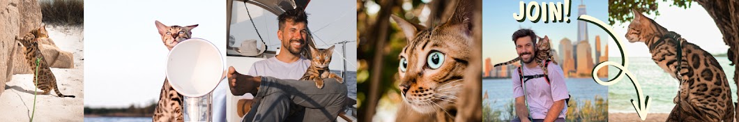 Albert & Mia, the Adventure Bengal Cat Banner