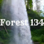 Forest 134