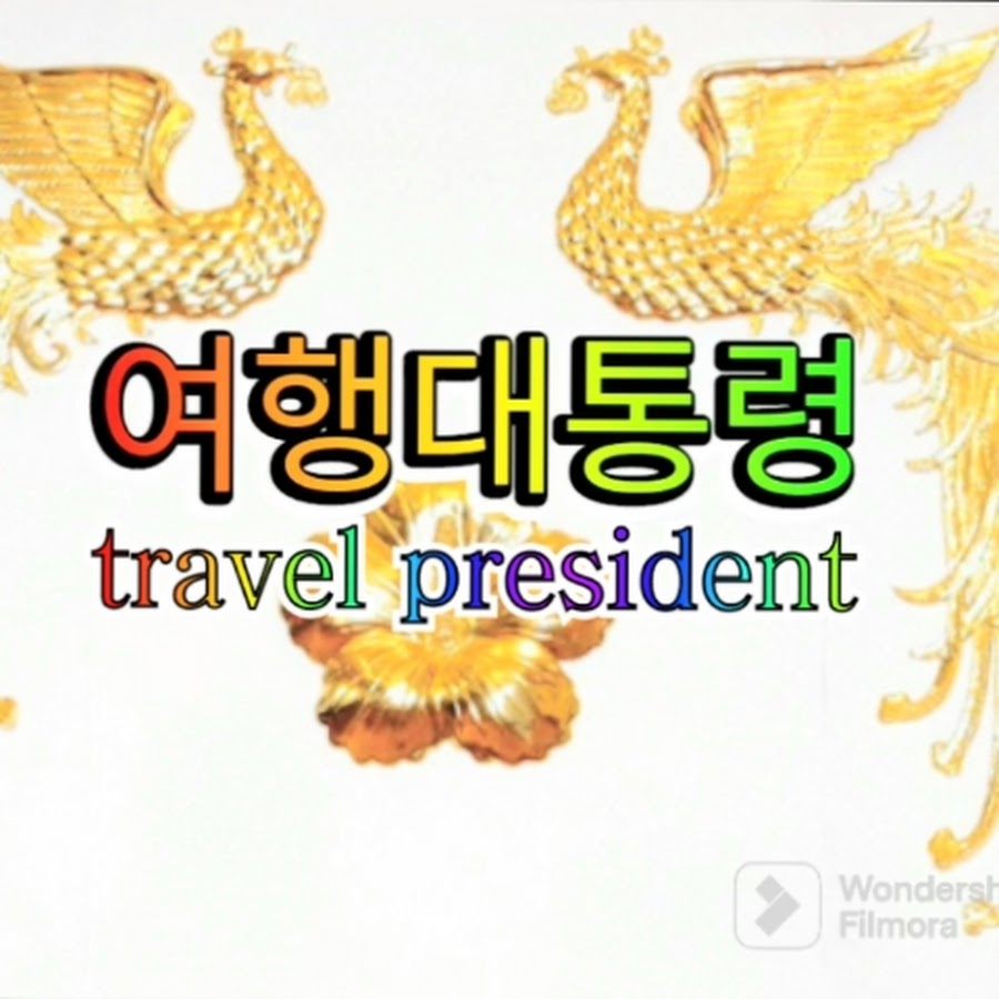 Travel President - Dr. Choi @goodpp123