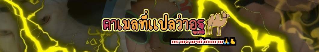 คาเมลที่เเปลว่าอูฐ