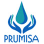 Prumisa