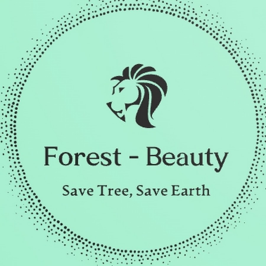 Forest Beauty - YouTube Forest Beauty