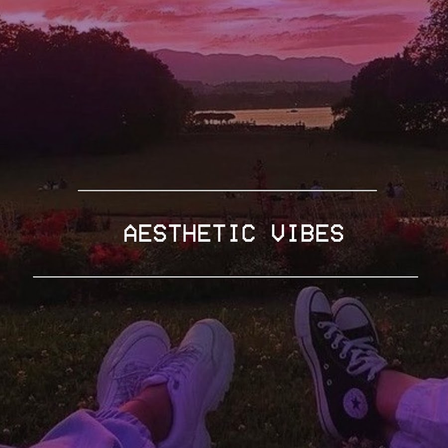 Aesthetic Vibes 