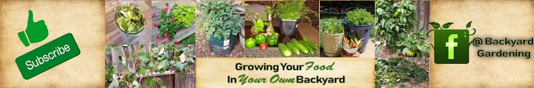 Growing Your Food In Your Own Backyard