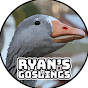 Ryan's Goslings