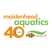 Aquarium Fish Nets - Maidenhead Aquatics