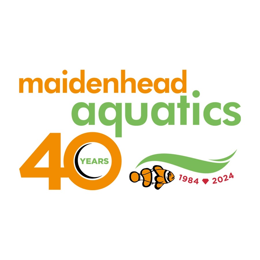 Maidenhead Aquatics 