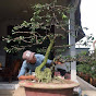 bonsai hữu tâm