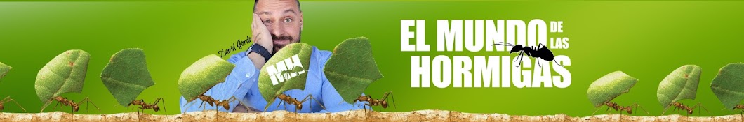 EL MUNDO DE LAS HORMIGAS Banner