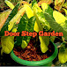 Door Step Garden