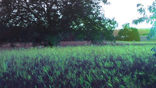 Xeo_Azul banner