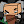 fitmc avatar