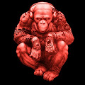 Artist Thumbnail
