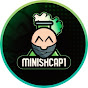 Minishcap1