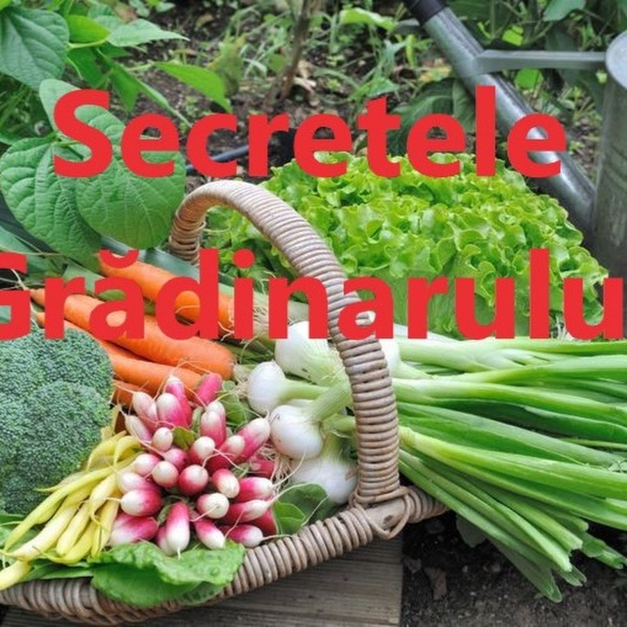 Gardener's Secrets @secretelegradinarului
