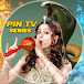 Pin TV Series