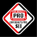 CAR BEAUTY PRO SI【CAR DETAILING LAB.】