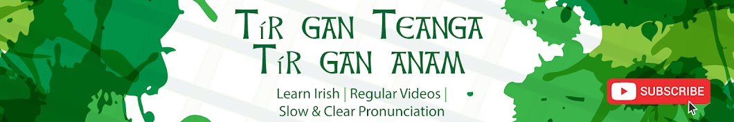 Learn Irish Banner