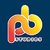 Papa Berry Studios