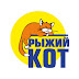 logo Рыжий кот - Игры и игрушки