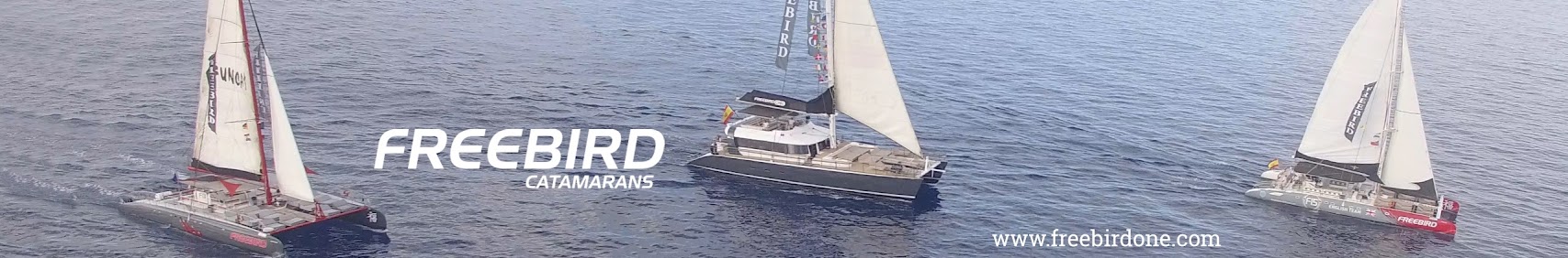 freebirdcatamaranwhalewatc5836