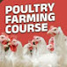 POULTRYKNOWLEDGE31