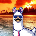 Qualz Profile Picture