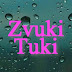 logo ZvukiTuki