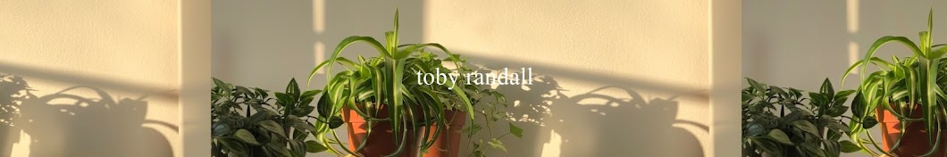 Toby Randall Banner