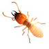 Yuvas termite  control service 