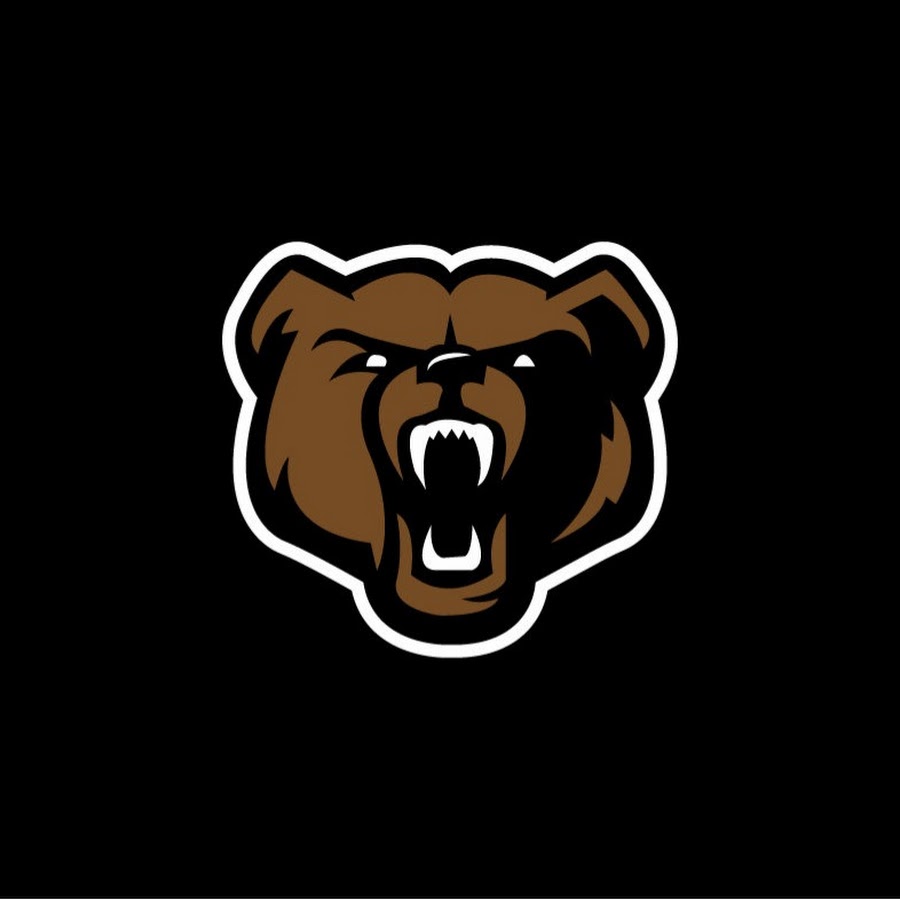 Медведь на черном фоне. Медведь на аву. Медыедь на чёрном фоне. Медведь логотип.