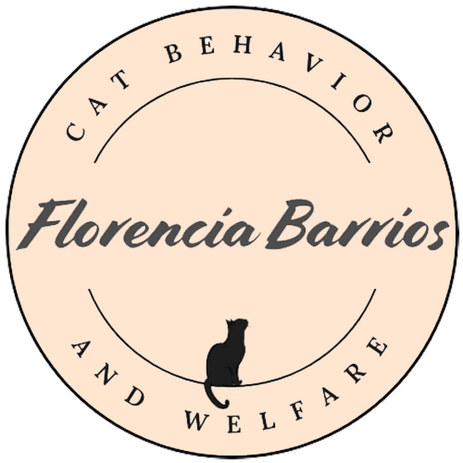 Cat Behavior And Welfare Youtube 6564