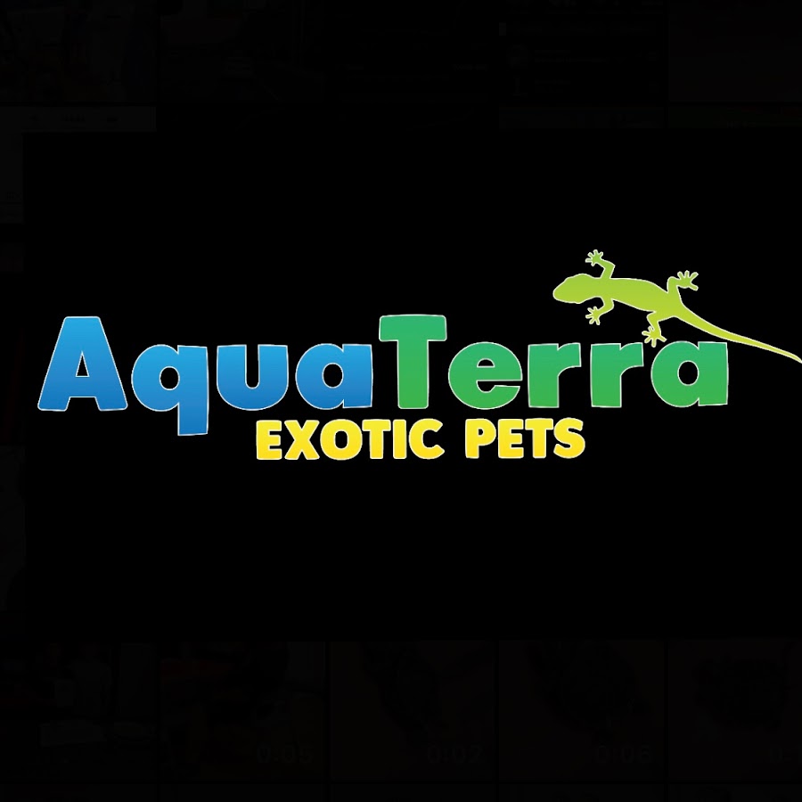 AquaTerra @aquaterraexoticpets