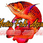 Media fish aquatic