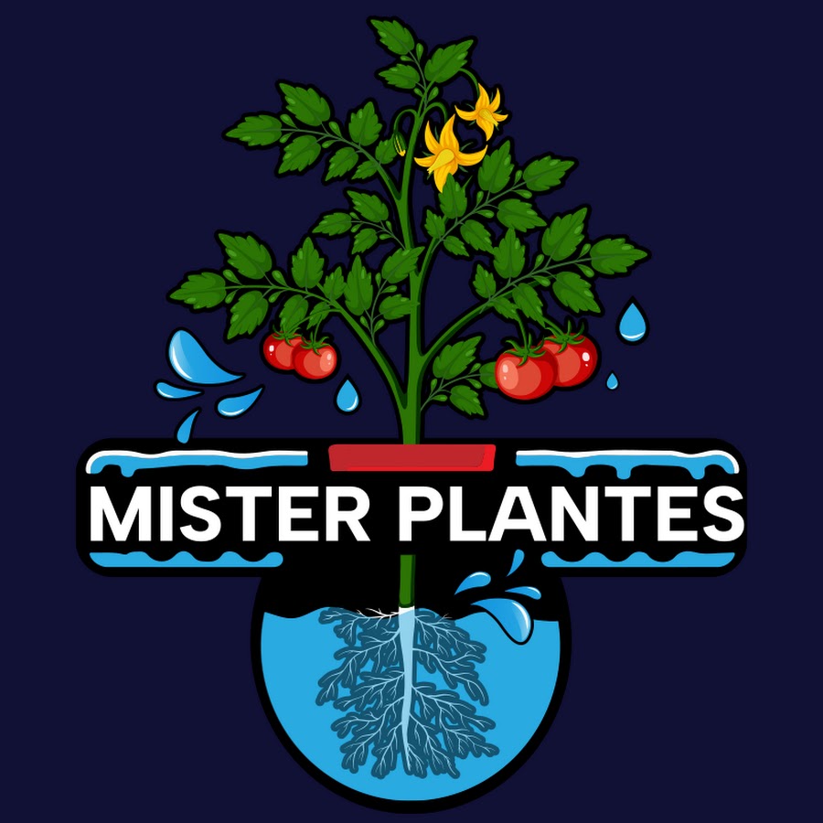 Ready go to ... https://www.youtube.com/channel/UC6LtVxY0gN-ikgYyYV02G1w [ Mister Plantes]