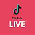 logo tiktoklive