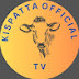 Kispatta Official TV