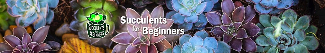 Succulents for Beginners Banner