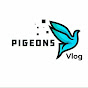 PIGEONS vlog