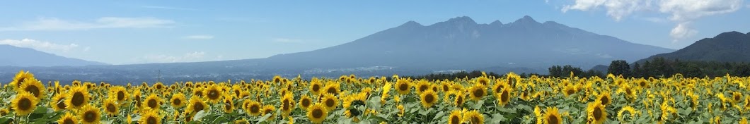 つま先ツンツンライダー