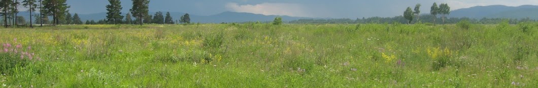 Опыт пчеловода (beekeeper experience)