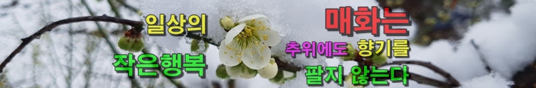 설중매화