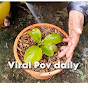 Viral Pov Daily