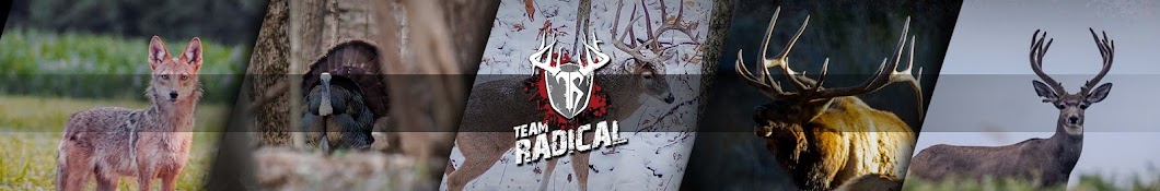 Team Radical Banner