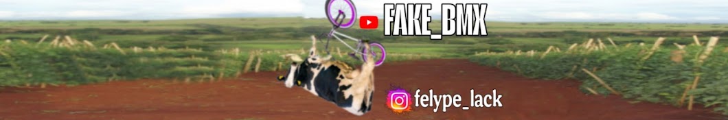  FAKE_BMX