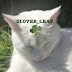 logo CLOVER_LEAF